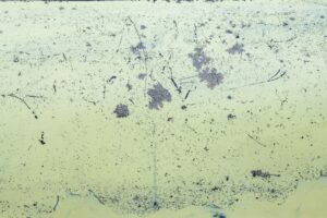 Bacteria and Climate Change Methane and Carbon Cycling