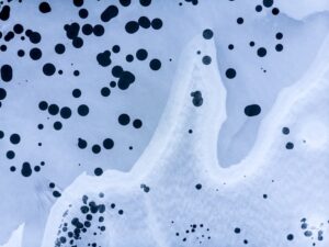 CRISPR A Bacterial Defense Turned Genetic Tool
