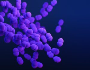 Horizontal Gene Transfer in Bacteria